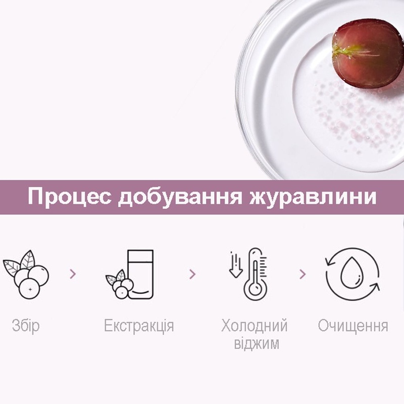 Стартова есенція з ресвератролом та екстрактом журавлини Dr.Ceuracle Vegan Active Berry First Essence, 150 мл 8806133615577 фото