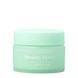 Нічна маска для губ «Огірок-м’ята» NCLA Beauty Beauty Sleep Overnight Lip Mask - Cucumber Mint, 15 мл 850034009599 фото 1