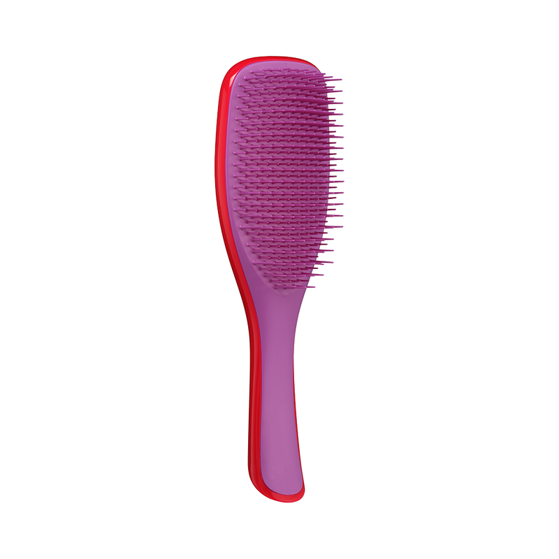 Щітка для волосся Tangle Teezer The Wet Detangler Mini Morello Cherry & Violet 5060926683034 фото